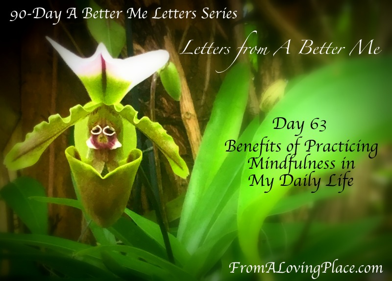 90-Day A Better Me Letters Series: Day 63 – Benefits of Practicing Mindfulness in My Daily Life