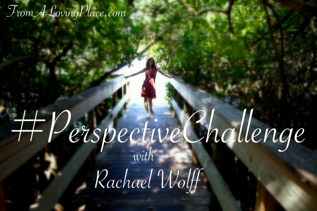 #PerspectiveChallenge: I, We, He, She, They, or It Should Have