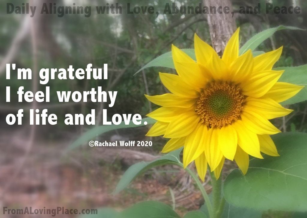 Daily Aligning with Love, Abundance, and Peace #81